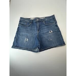 Pilcro & the Letterpress Slim Boyfriend Distressed Denim Shorts Women's 32
